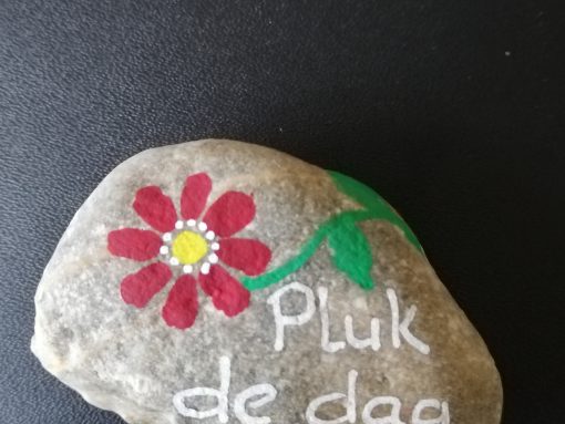 Pluk de dag