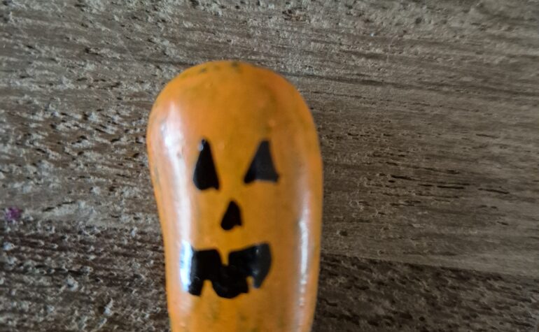 Kei Tof - Pompoen mini